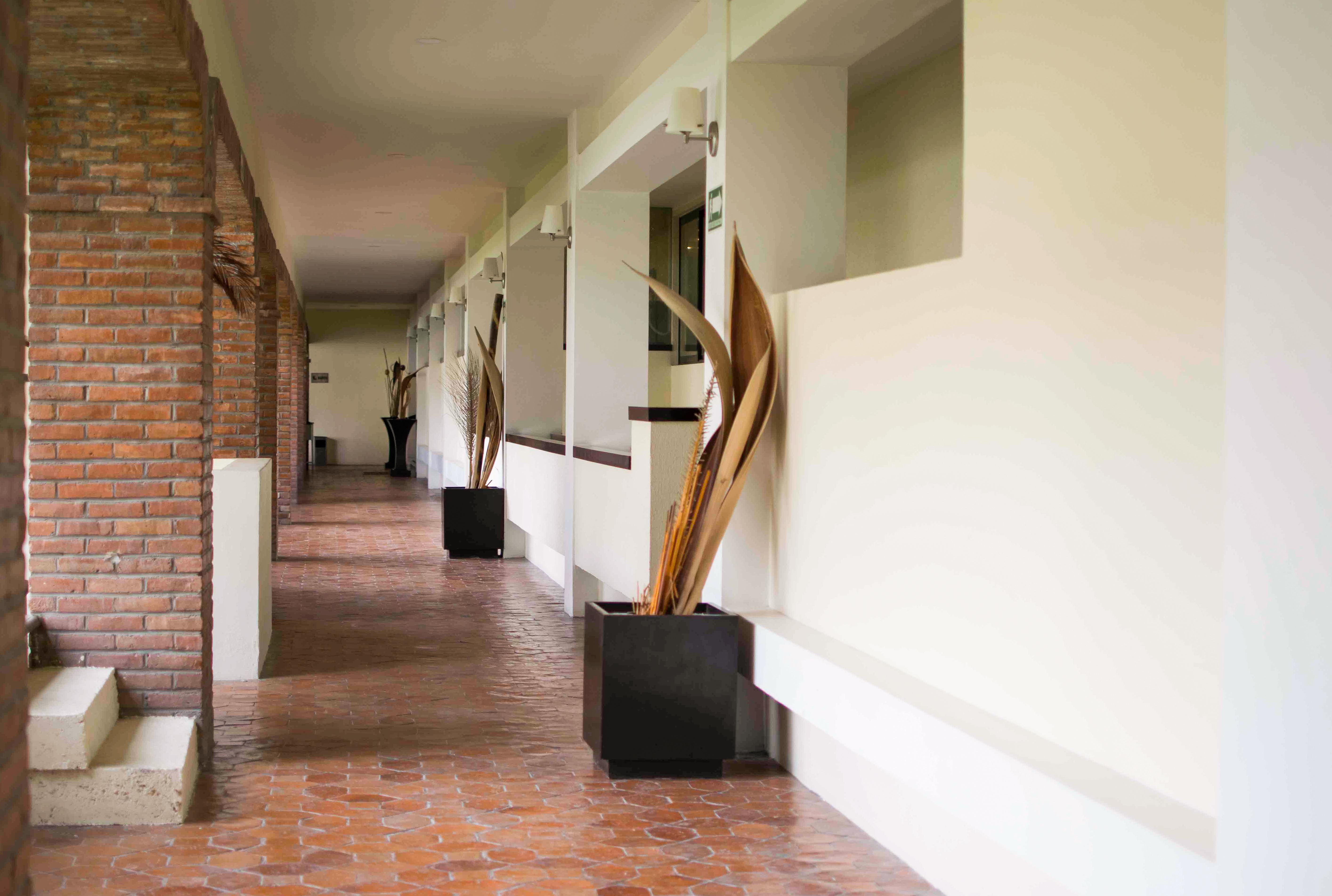 Wyndham Garden Aguascalientes Hotel & Casino מראה חיצוני תמונה